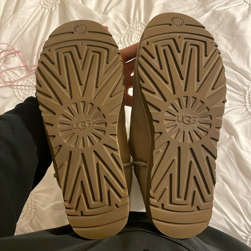 Tan Uggs